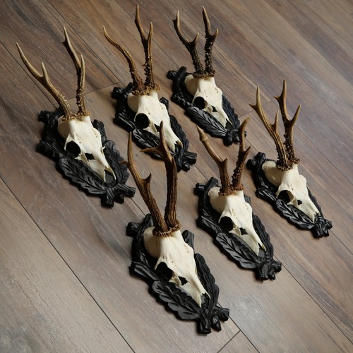 Paire bois cerf - bois, de