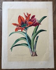 Anton Hartinger   rare