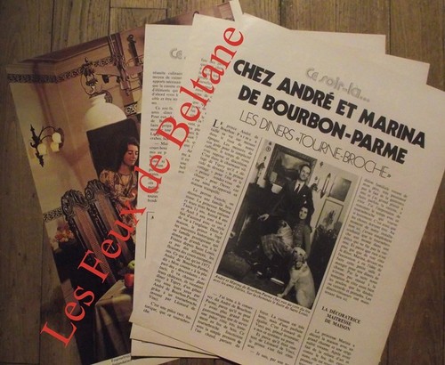 Article diners tourne broche - diners,