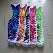 Chaussette à vent carpe