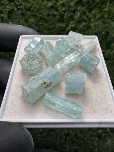 Rare lot aigue - rare,