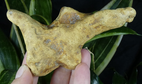 Nodule silex forme atypique - nodule,