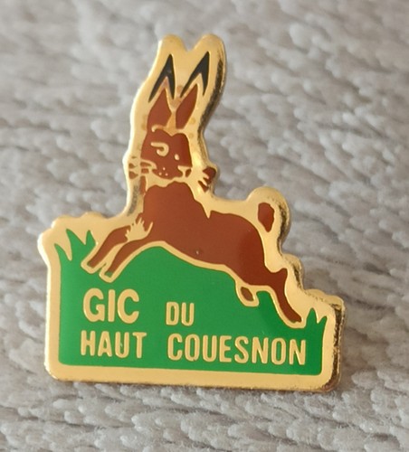 Pins chasse gic haut - chasse.,