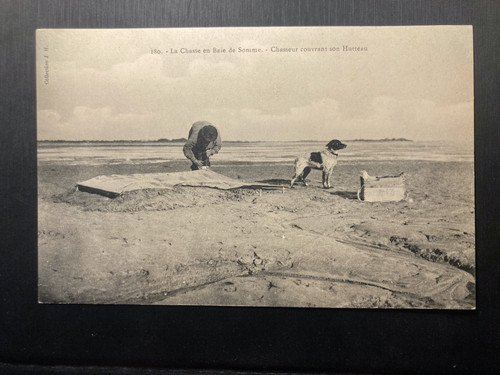 Cpa chasse baie de - chasse,