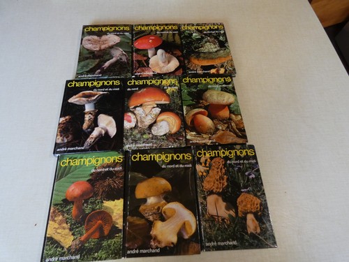 André marchand champignons - marchand:,