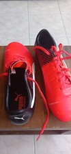 crampons foot puma Evo power