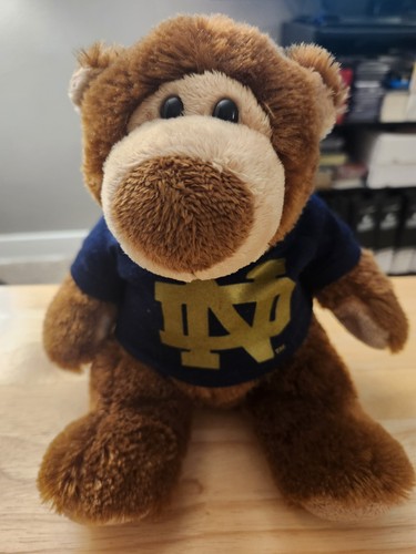 Notre dame fighting irish - dame,