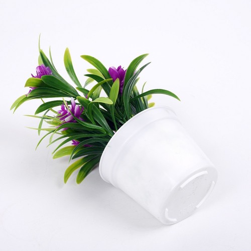 Petit lotus simulé plante