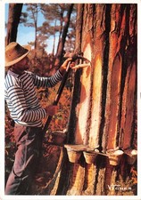 40-LE GEMMEUR-N�T243-C/0181