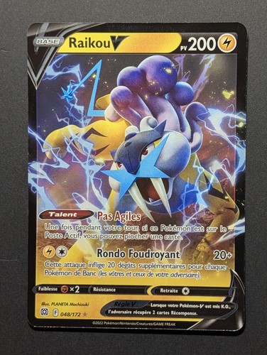 Pokemon raikou 048 - v,