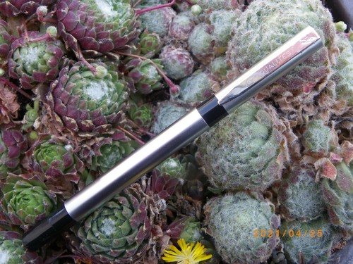 Stylo roller waterman laureat - ,