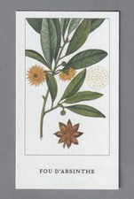 Carte  publicitaire - Fou