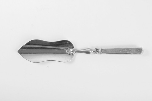 Pelle poisson argent - à,