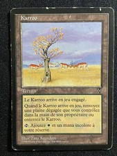 Carte Magic FR Terrain Edition Bord noir 1996 Retro Terrain Mana double
