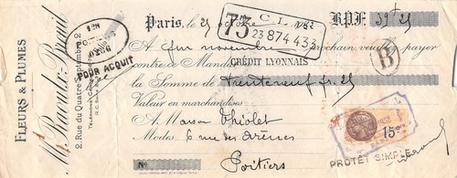 1932 fleurs plumes - fleurs, raoulx