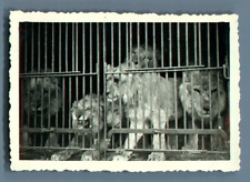 Galdin, France, Cirque Amar à