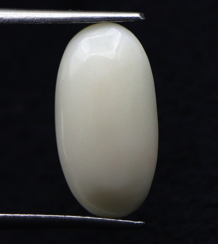 Gemme naturelle corail blanc - gemme,