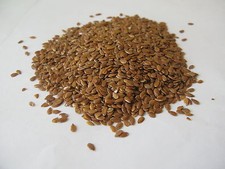 200 graines de Lin cultivé à semer (Linum Usitatissimum)H844 LINSEED SEEDS SAMEN