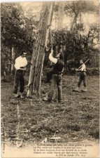 CPA Landes - Résiniers