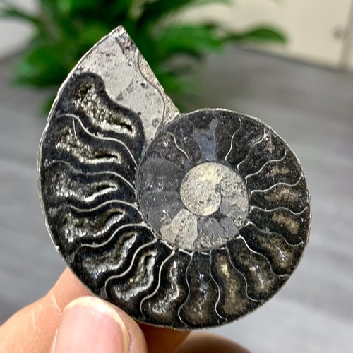 15g rare natural - rare!,