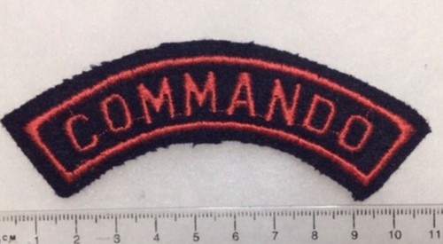 France marine insigne - france,