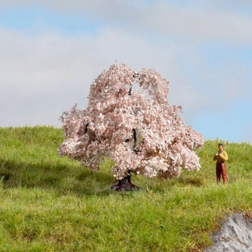 Arbre cerisier fleurs - arbre,