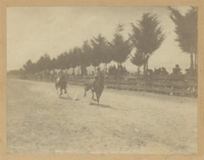 Etats-Unis, Le rodéo au début du XX siècle  Vintage citrate print. USA.  Tirag