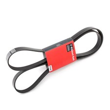 STARK Courroie Poly-V Courroie