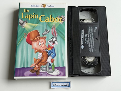 Bugs bunny lapin - lapin, cabot