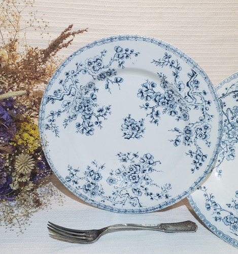 Lot assiettes plates - assiettes, en