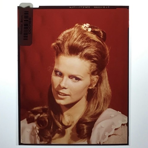 Sara lane the virginian - the,