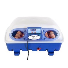 Borotto Real 24 incubateur d’œufs couveuse 24/96 semi-automatique 💙🥚🐣