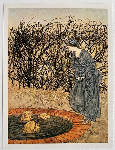 Arthur rackham steel - arthur, contes