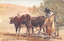 CPA ILLUSTRATEUR / THE HOLY LAND POUGHING ON THE MOUNT OF OLIVES