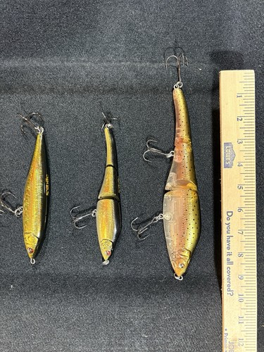 Older sebile swimbait and - older,
