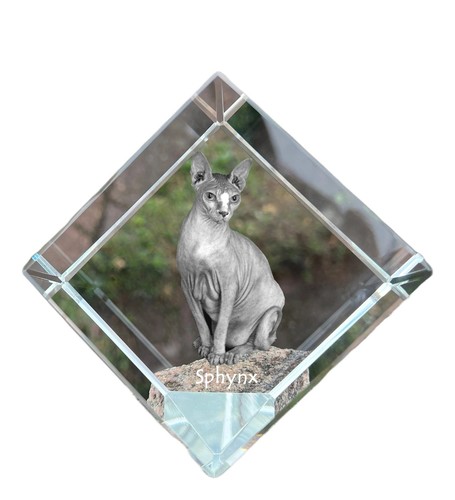 Sphynx dé cristal - cristal, un