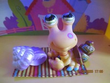 Petshop Bernard L'hermite