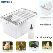 Lab Mouse Cage Rat Rodent
