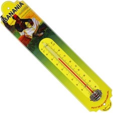 Thermomètre bombé hauteur