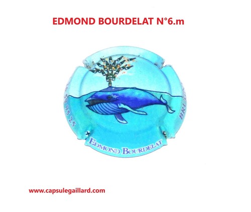 Capsule champagne edmond - capsule,
