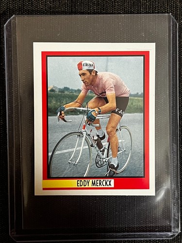 Sticker eddy merckx belgium - sticker, #