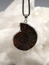 Grand Pendentif Ammonite