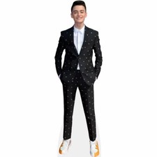 Noah Schnapp (White Shirt) Silhouette en carton Taille Mini