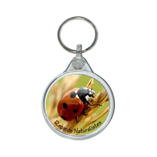 Porte clé photo - , insecte