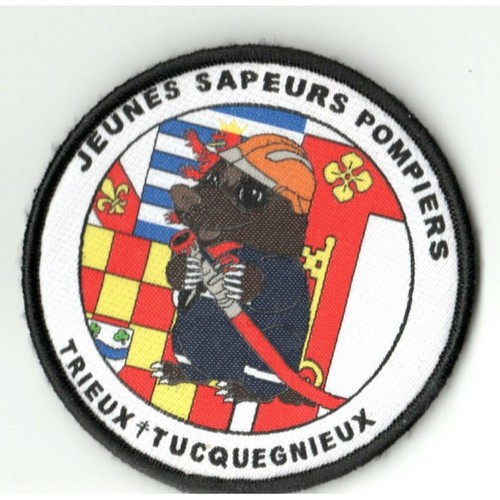Jsp trieux sdis - trieux sdis, 54