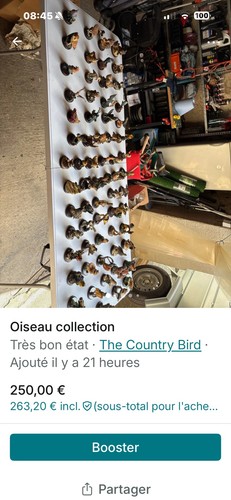 The country bird collection - "the,