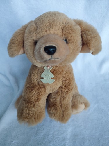 Histoire ours peluche - peluche, doudou