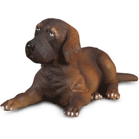 Collecta chiot dogue allemand - dogue,
