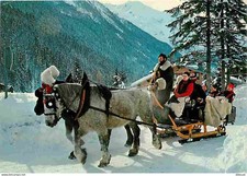 Carte Postale - Animaux -