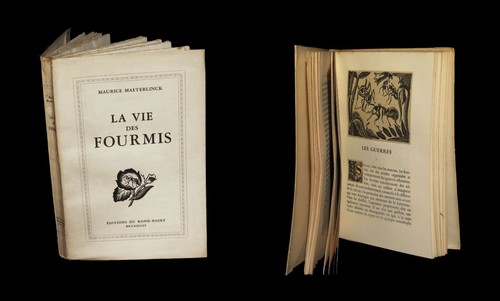 Entomologie maeterlinck - [entomologie],